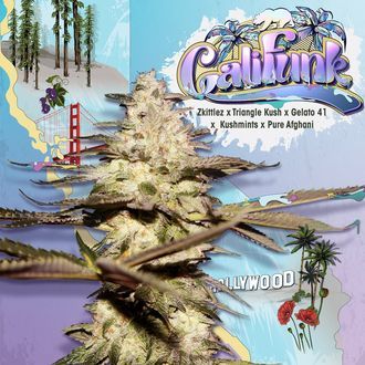 CaliFunk (T.H.Seeds) Feminiserade