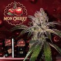 Mon Cherry (T.H.Seeds™) Feminiserade