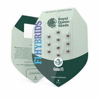 Gaia F1 Auto (Royal Queen Seeds) Feminiserade