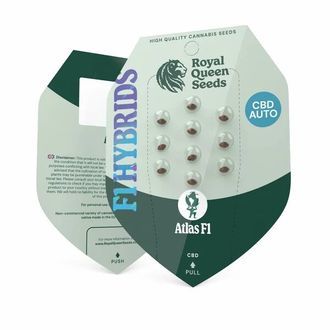 Atlas F1 Auto (Royal Queen Seeds) Feminiserade