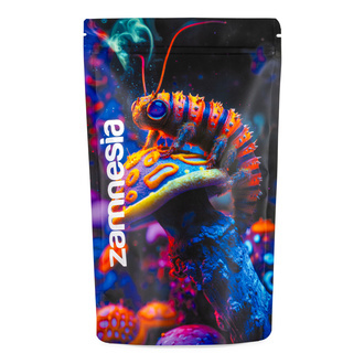 Trippiga paketet | TRIBE