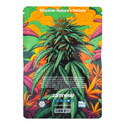 In-Di-Couch Indica-paket – Feminiserade sorter