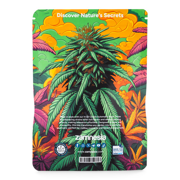 In-Di-Couch Indica-paket – Autoflower-sorter