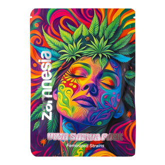 Viva Sativa-paket &ndash; Feminiserade sorter
