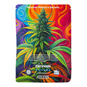 Viva Sativa-paket – Feminiserade sorter