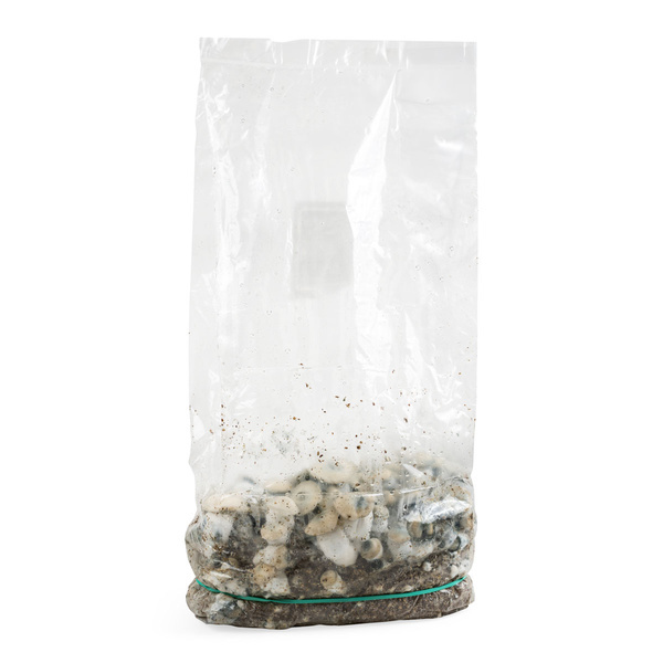Zamnesia Ready-2-Grow Bag "Bluey Vuitton"