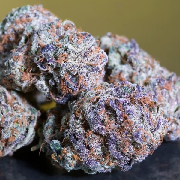 Blue Gem (Paradise Seeds) Feminiserade