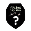 Autoflower Mystiska frön 3 (Royal Queen Seeds)