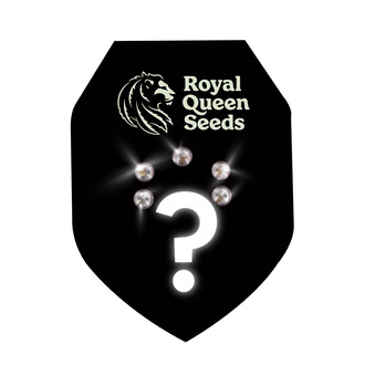 Mystiska Feminiserade fr&ouml;n 5 (Royal Queen Seeds)