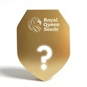 Autoflower F1 Mysteriefrön 5 (Royal Queen Seeds)