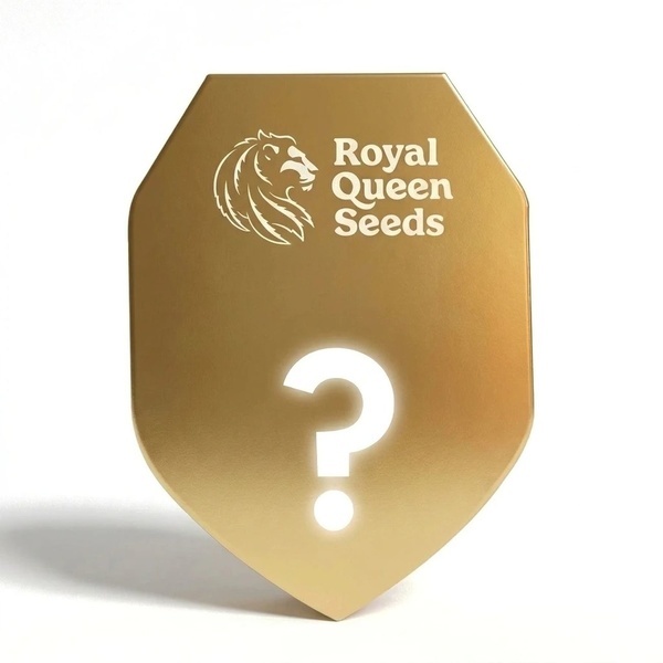 Autoflower F1 Mysteriefrön 5 (Royal Queen Seeds)