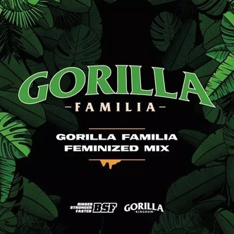 Gorilla Family Mix (BSF Seeds) feminiserade