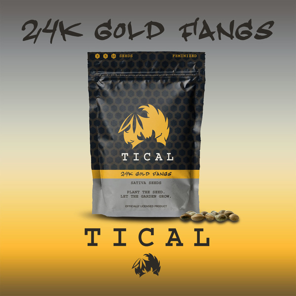 24K Gold Fangs (TICAL) Feminiserade