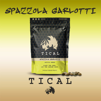 Spazzola Garletti (TICAL) Feminiserade