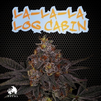 La-La-La Log Cabin (TICAL) feminiserade cannabisfr&ouml;n