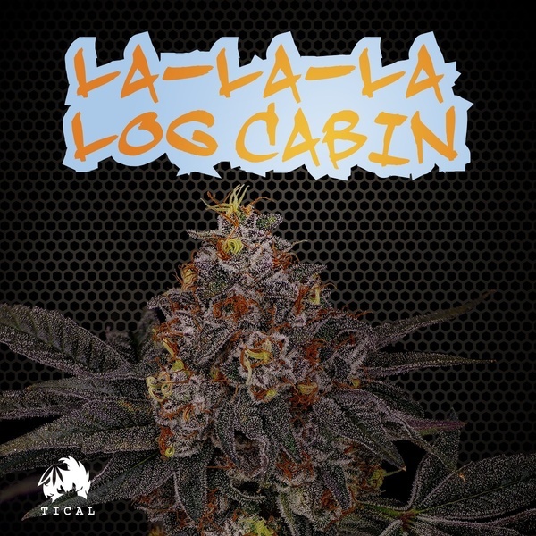 La-La-La Log Cabin (TICAL) Feminiserade