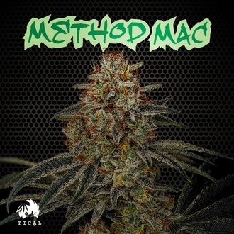 Method Mac (TICAL) Feminiserade