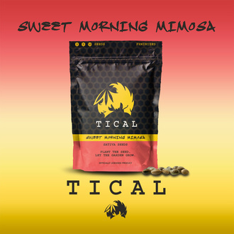 Sweet Morning Mimosa (TICAL) Feminiserade