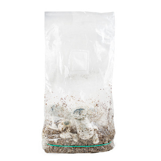 Zamnesia Ready-2-Grow Bag ”APE”