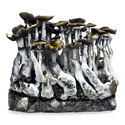 Zamnesia Ready-2-Grow Bag ”McKennaii”