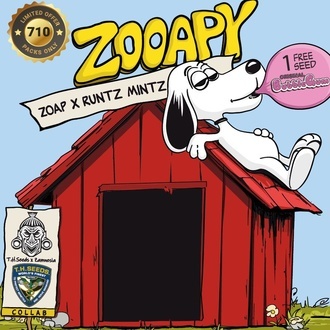 Zooapy (T.H. Seeds) Feminiserade