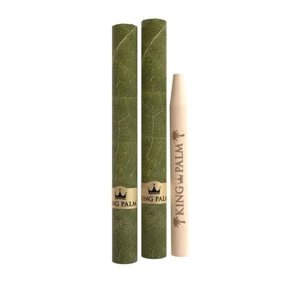 Handrullat blad 2-pack (King Palm)