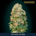 Afghan Skunk (Advanced Seeds) Feminiserade