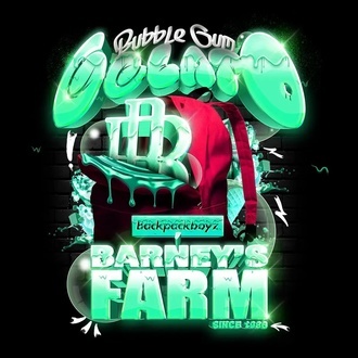 Bubblegum Gelato (Barney's Farm) Feminiserade