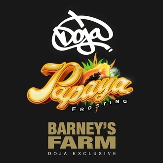 Papaya Frosting (Barney's Farm) Feminiserade