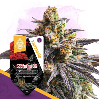 Godfather OG (Zamnesia Seeds) Feminiserade