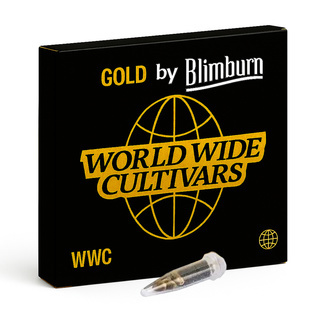 CBD ACDC (Blimburn Seeds) Feminiserade