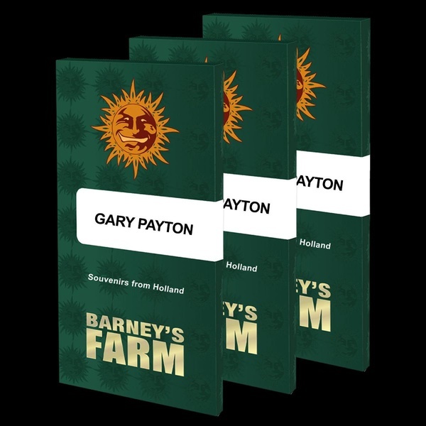 Gary Payton (Barney's Farm) Feminiserade