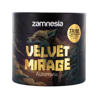 Velvet Mirage Autoflower (Zamnesia Seeds) – 4 Feminiserade frön + kvarn