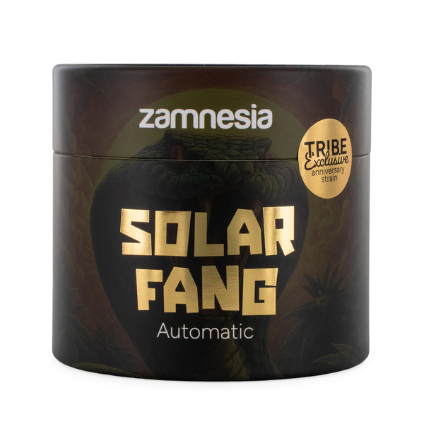 Solar Fang Autoflower (Zamnesia Seeds) – 4 Feminiserade frön + kvarn