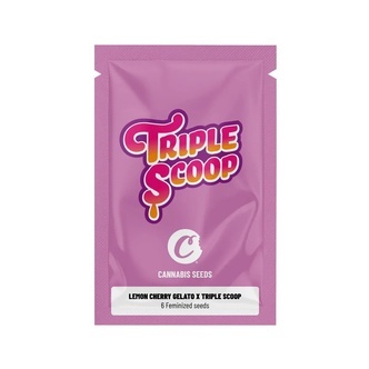 Lemon Cherry Gelato x Triple Scoop (Cookies) feminiserade cannabisfr&ouml;n
