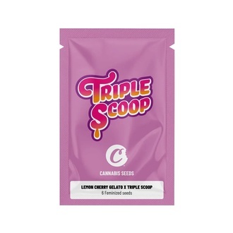 Lemon Cherry Gelato x Triple Scoop (Cookies) Feminiserade
