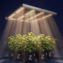 Phytonaut LED-odlingslampa 120 W (Zamnesia)
