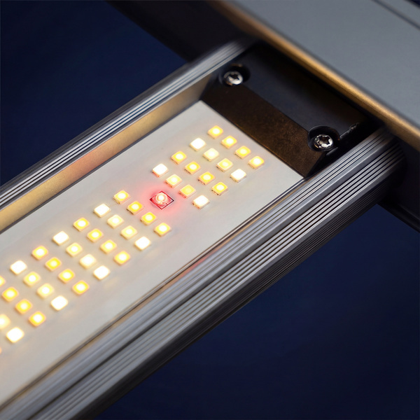 Phytonaut LED-odlingslampa 240 W (Zamnesia)