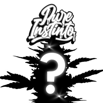 Mystiskt feminiserat fr&ouml; 1 (Pure Instinto)
