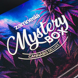 Cannabis &ouml;verraskningsl&aring;da - Deluxe (Zamnesia)
