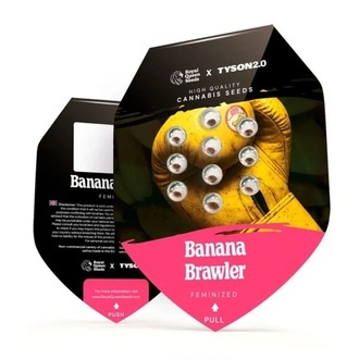 Banana Brawler (Royal Queen Seeds) Feminiserade