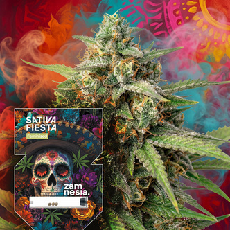 Sativa Fiesta (Zamnesia Seeds) feminiserade