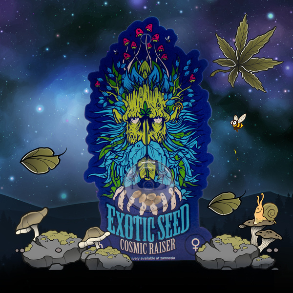 Cosmic Raiser (Exotic Seed) Feminiserade
