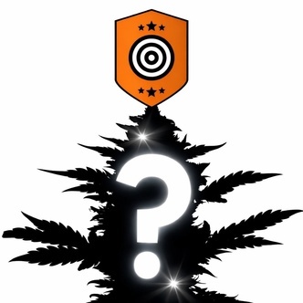 autoflower mystiska fr&ouml;n 2 (Kannabia)