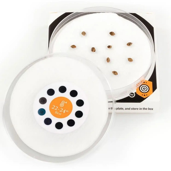 Sproutly – smart groddningsenhet (Kannabia)