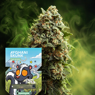 Afghani Skunk Fast Version (Zamnesia Seeds) Feminiserade