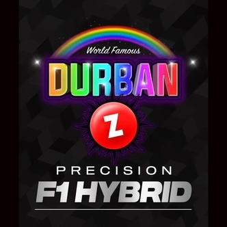 Durban Z F1 (Barney's Farm) feminiserade cannabisfr&ouml;n