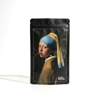 High Art Z-Lock Stashpåse (Extra Large) (Zamnesia)
