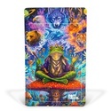 Psychedelic Dreams Z-Lock Stashpåse (Extra Large)
