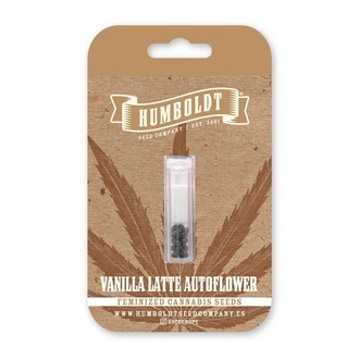 Vanilla Latte Autoflower (Humboldt Seed Company) Feminiserad